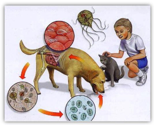 oznaki pasożytów u dzieci