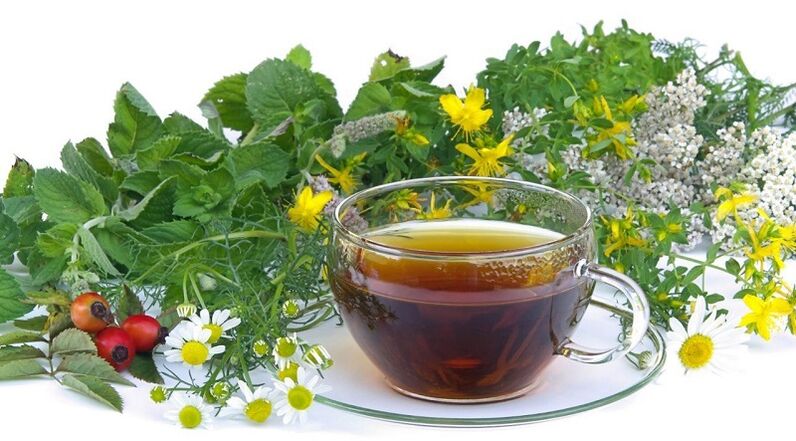herbata ziołowa do usuwania pasożytów z organizmu