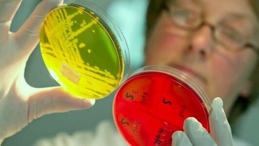 Badanie testów do wykrywania pasożytów w organizmie człowieka